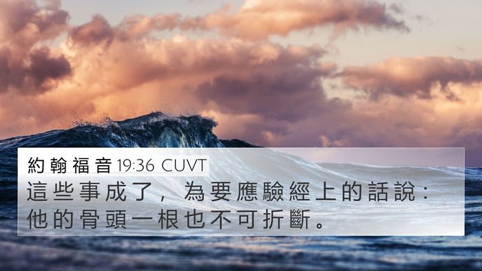 約 翰 福 音 19:36 CUVT Bible Verse Image