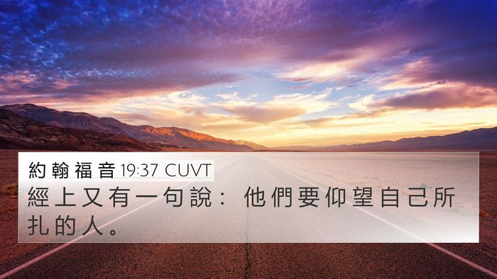 約 翰 福 音 19:37 CUVT Bible Verse Image