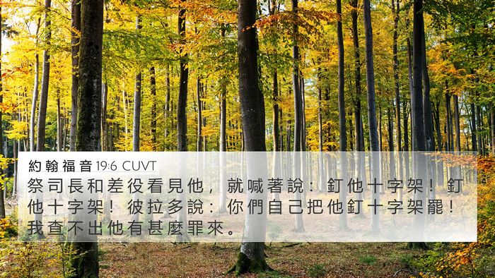約 翰 福 音 19:6 CUVT Bible Verse Image