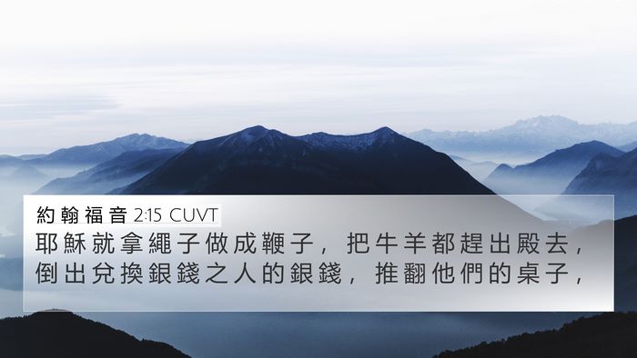 約 翰 福 音 2:15 CUVT Bible Verse Image