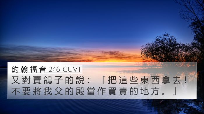 約 翰 福 音 2:16 CUVT Bible Verse Image
