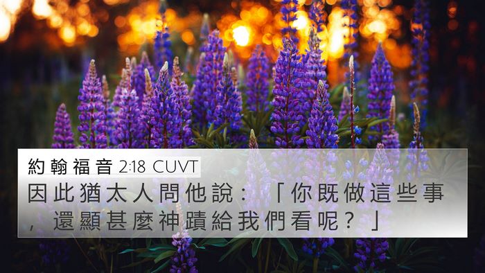 約 翰 福 音 2:18 CUVT Bible Verse Image