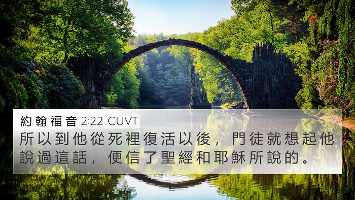 約 翰 福 音 2:22 CUVT 4K Wallpaper - 所 以 到 他 從 死 裡 復 活 以 後 ， - 4K Wallpaper Bible Verse