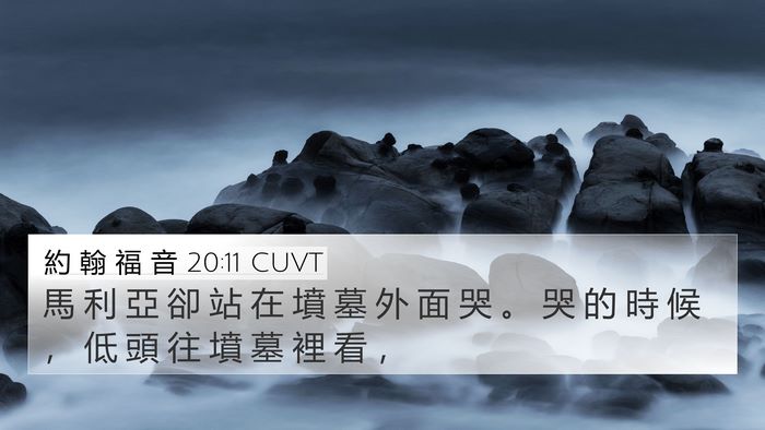 約 翰 福 音 20:11 CUVT Bible Verse Image