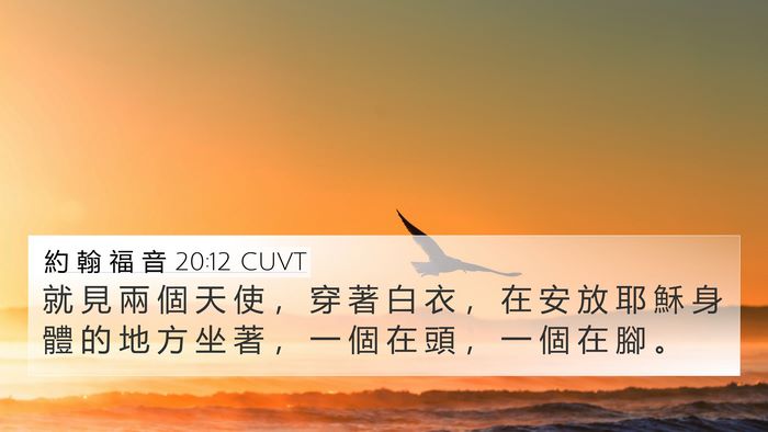 約 翰 福 音 20:12 CUVT Bible Verse Image