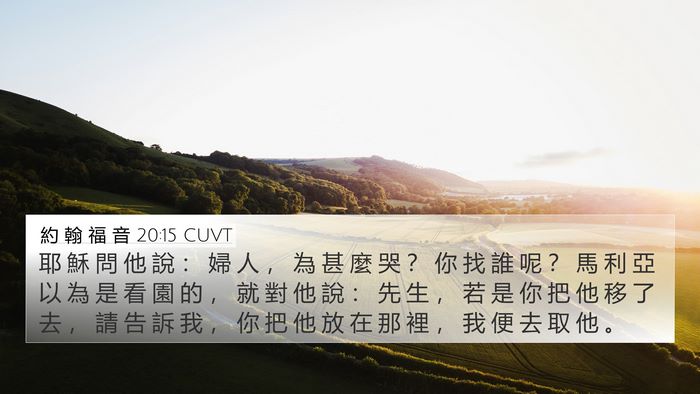 約 翰 福 音 20:15 CUVT Bible Verse Image