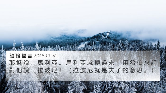 約 翰 福 音 20:16 CUVT Bible Verse Image