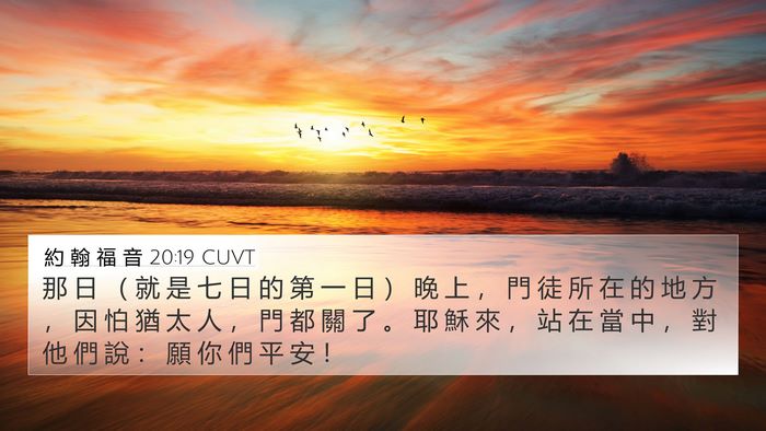 約 翰 福 音 20:19 CUVT Bible Verse Image
