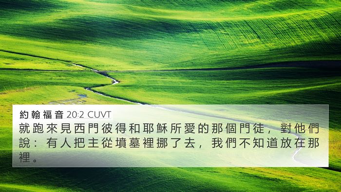 約 翰 福 音 20:2 CUVT Bible Verse Image