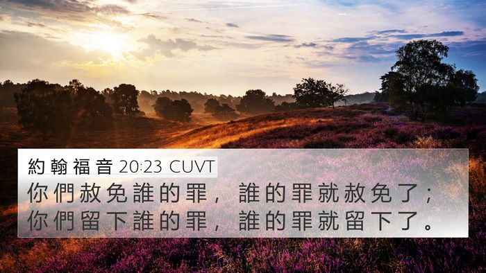 約 翰 福 音 20:23 CUVT Bible Verse Image