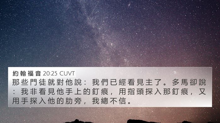 約 翰 福 音 20:25 CUVT Bible Verse Image