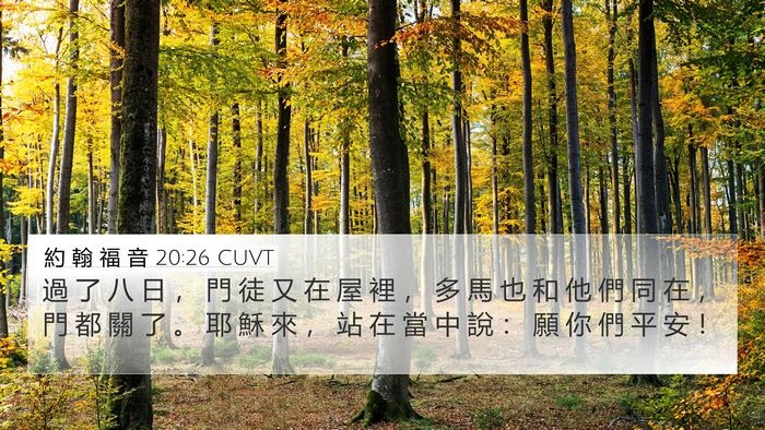 約 翰 福 音 20:26 CUVT Bible Verse Image