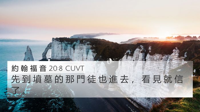 約 翰 福 音 20:8 CUVT Bible Verse Image