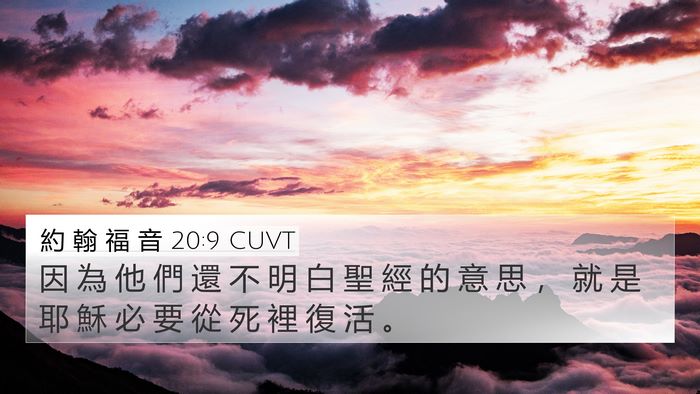 約 翰 福 音 20:9 CUVT Bible Verse Image