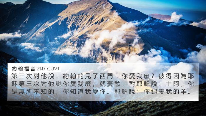 約 翰 福 音 21:17 CUVT Bible Verse Image