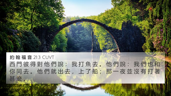 約 翰 福 音 21:3 CUVT Bible Verse Image