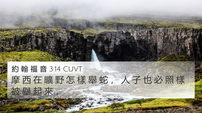 約 翰 福 音 3:14 CUVT Bible Verse Image