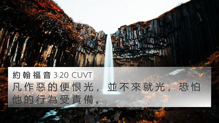 約 翰 福 音 3:20 CUVT Bible Verse Image