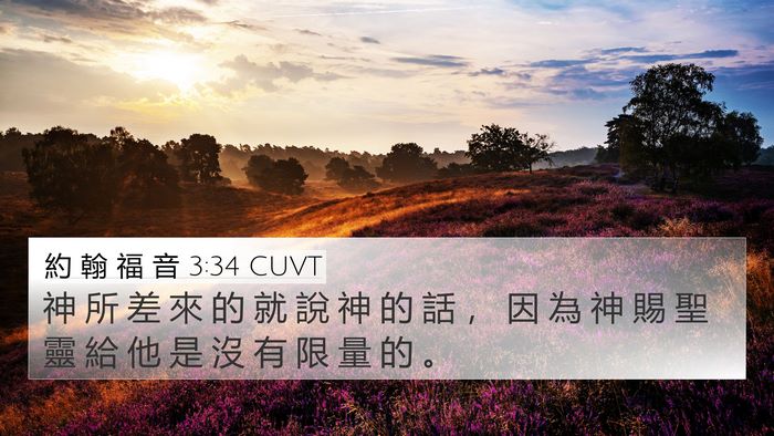 約 翰 福 音 3:34 CUVT Bible Verse Image