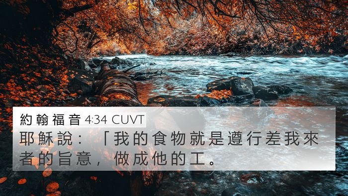 約 翰 福 音 4:34 CUVT Bible Verse Image