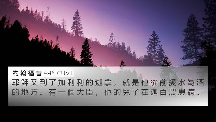 約 翰 福 音 4:46 CUVT Bible Verse Image