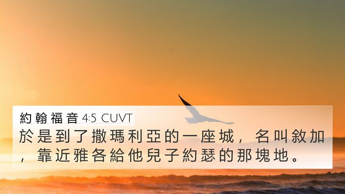 約 翰 福 音 4:5 CUVT Bible Verse Image