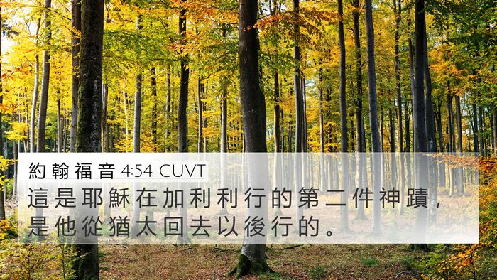 約 翰 福 音 4:54 CUVT Bible Verse Image