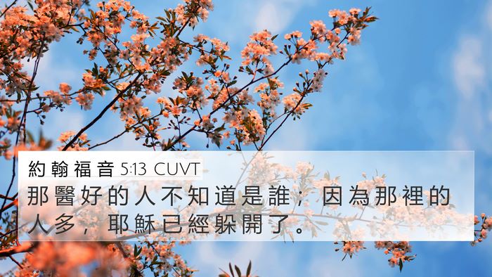 約 翰 福 音 5:13 CUVT 4K Wallpaper - 那 醫 好 的 人 不 知 道 是 誰 ； 因 - 4K Wallpaper Bible Verse