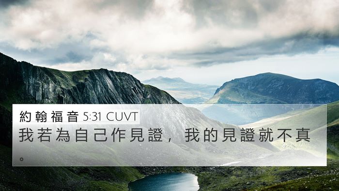 約 翰 福 音 5:31 CUVT Bible Verse Image