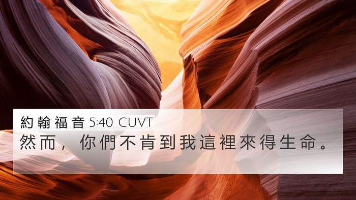 約 翰 福 音 5:40 CUVT Bible Verse Image
