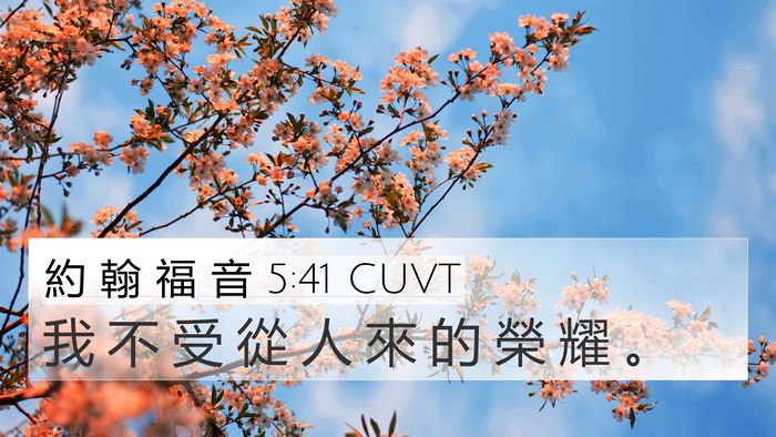 約 翰 福 音 5:41 CUVT Bible Verse Image