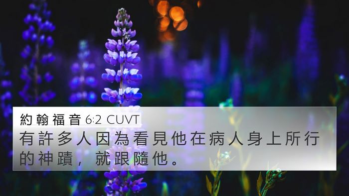 約 翰 福 音 6:2 CUVT Bible Verse Image