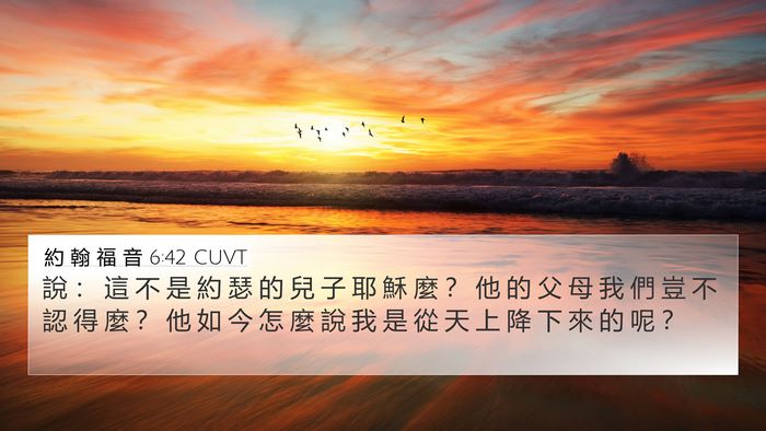 約 翰 福 音 6:42 CUVT Bible Verse Image