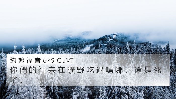 約 翰 福 音 6:49 CUVT Bible Verse Image