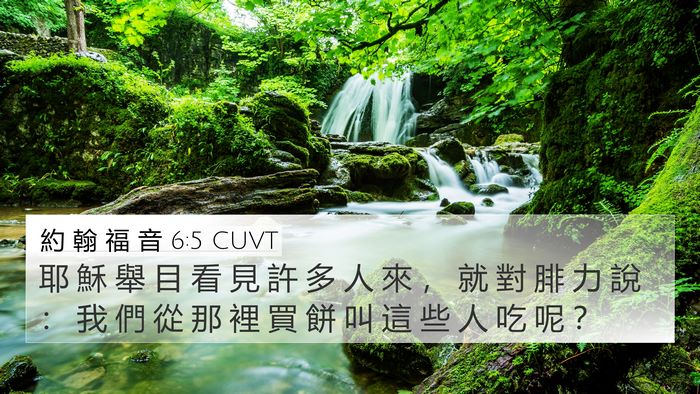 約 翰 福 音 6:5 CUVT Bible Verse Image