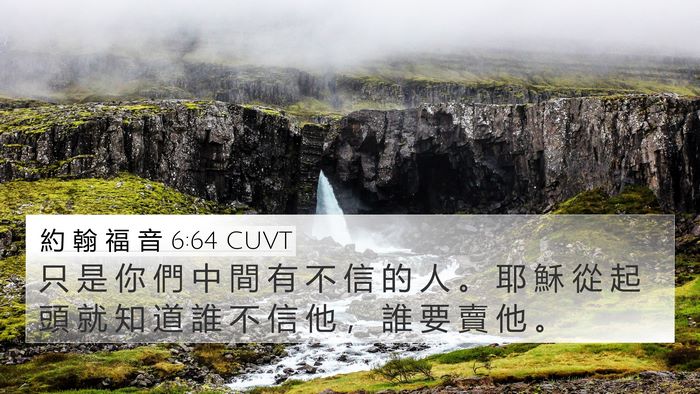 約 翰 福 音 6:64 CUVT Bible Verse Image