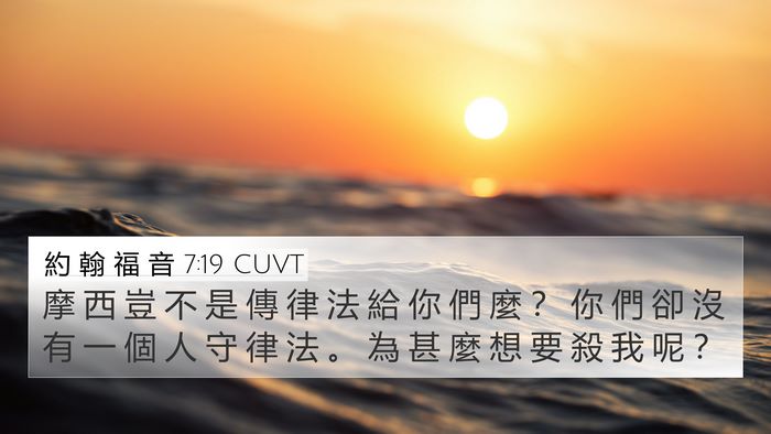 約 翰 福 音 7:19 CUVT Bible Verse Image