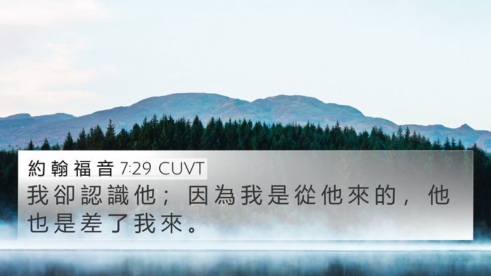 約 翰 福 音 7:29 CUVT Bible Verse Image