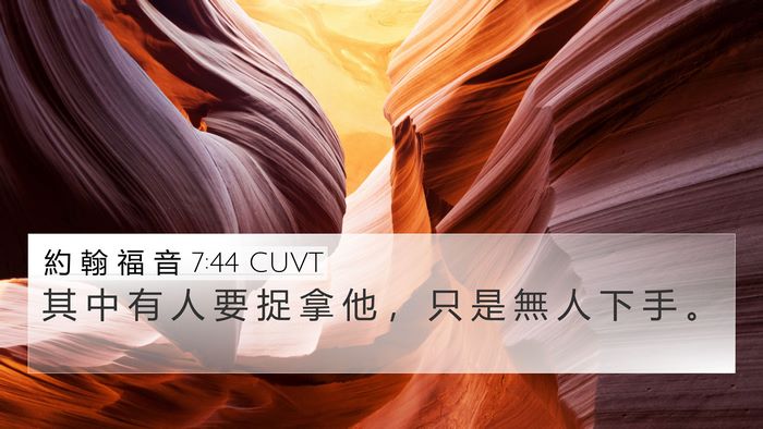 約 翰 福 音 7:44 CUVT Bible Verse Image