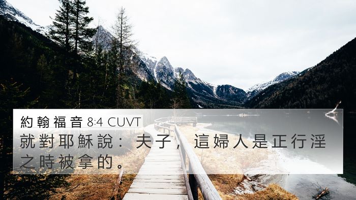 約 翰 福 音 8:4 CUVT Bible Verse Image