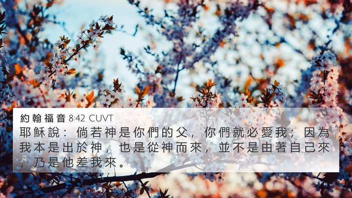 約 翰 福 音 8:42 CUVT Bible Verse Image