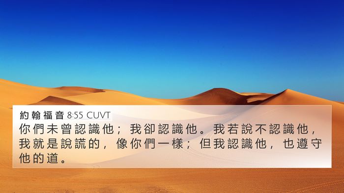 約 翰 福 音 8:55 CUVT Bible Verse Image