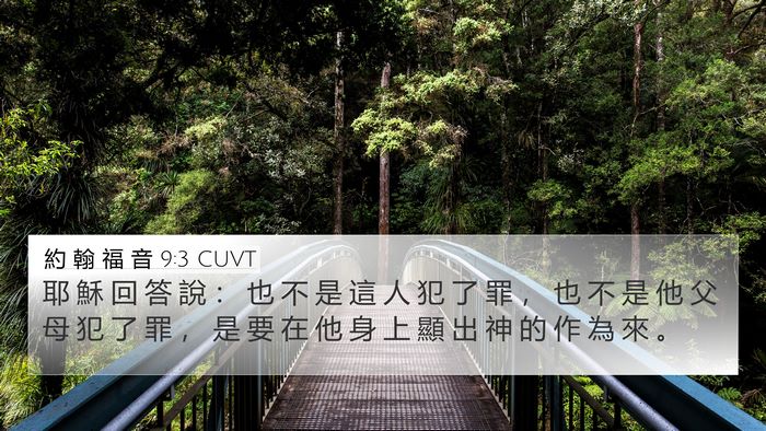 約 翰 福 音 9:3 CUVT Bible Verse Image