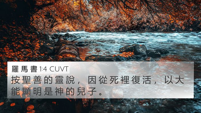 羅 馬 書 1:4 CUVT Bible Verse Image