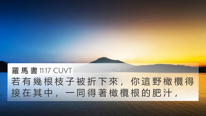 羅 馬 書 11:17 CUVT Bible Verse Image