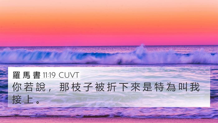 羅 馬 書 11:19 CUVT Bible Verse Image