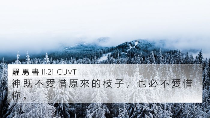 羅 馬 書 11:21 CUVT 4K Wallpaper - 神 既 不 愛 惜 原 來 的 枝 子 ， 也 - 4K Wallpaper Bible Verse