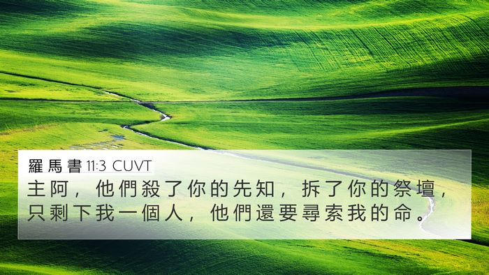 羅 馬 書 11:3 CUVT 4K Wallpaper - 主 阿 ， 他 們 殺 了 你 的 先 知 ， - 4K Wallpaper Bible Verse