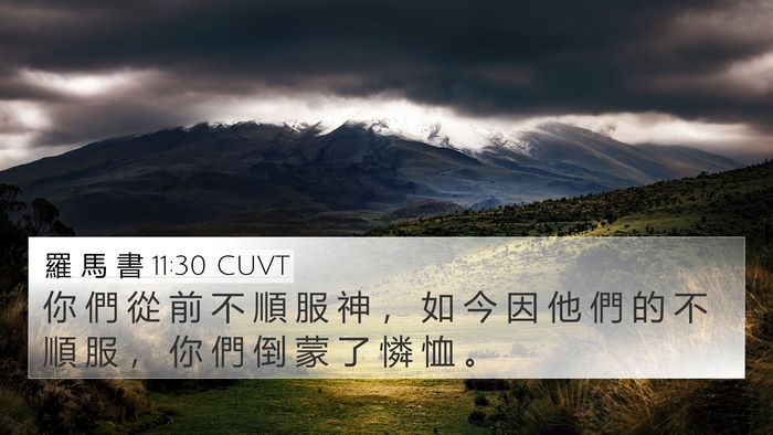 羅 馬 書 11:30 CUVT Bible Verse Image