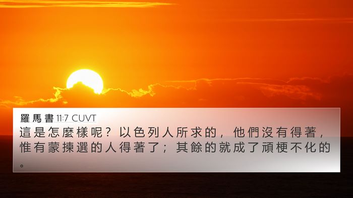 羅 馬 書 11:7 CUVT Bible Verse Image